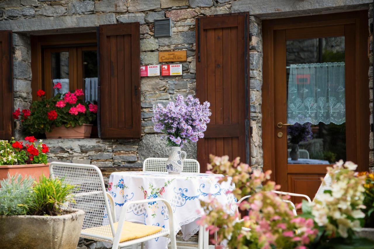 Corte Di Cavne' Miazzina ภายนอก รูปภาพ